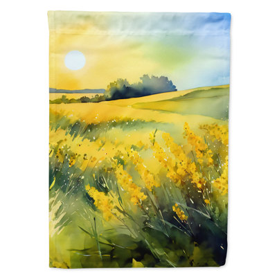 Double Sided 40'' H x 28'' W Polyester House Flag