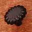 CK Series Knob-12829604