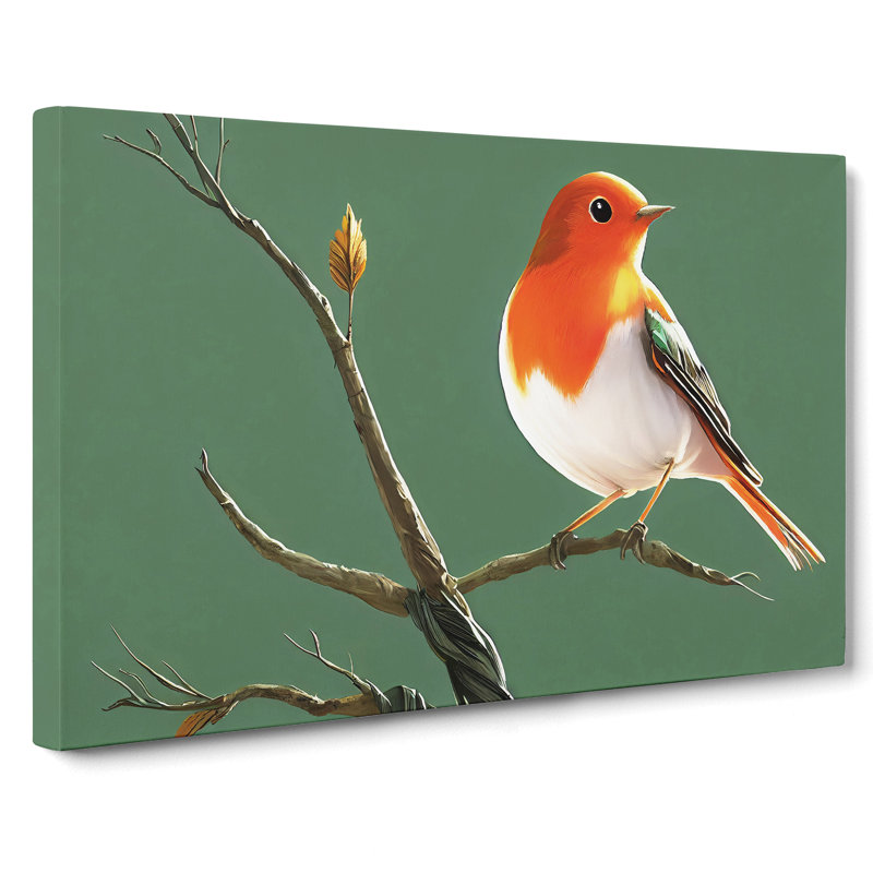 Elegant Robin Bird - Wrapped Canvas Print, 35cm H x 50cm W x 3cm D
