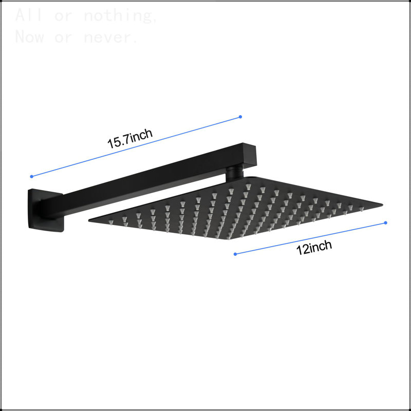 Pomme de douche murale 12 ", Noir mat