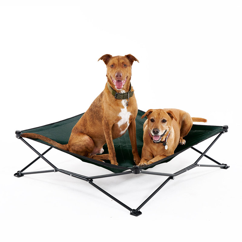 Lit pour animal de compagnie, Vert, H 11,5 po x l 41 po x P 41 po