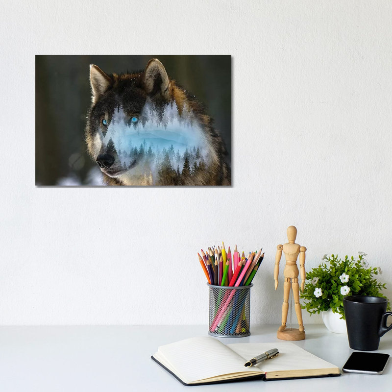 Blue Wolf by Paul Haag - Wrapped Canvas Print, 20.32cm H x 30.48cm W x 1.91cm D