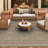Joleigha Geometric Natural Brown Indoor Outdoor Area Rug-1429079769