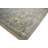 Performance Wool Oriental Indoor Rug