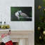 No Frame Print on Canvas