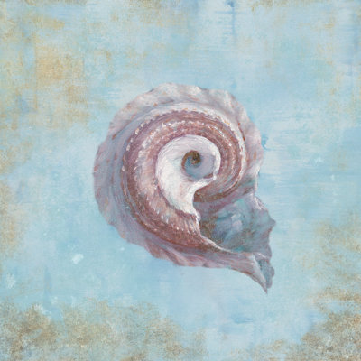Treasures From The Sea III by Danhui Nai - Wrapped Canvas Painting