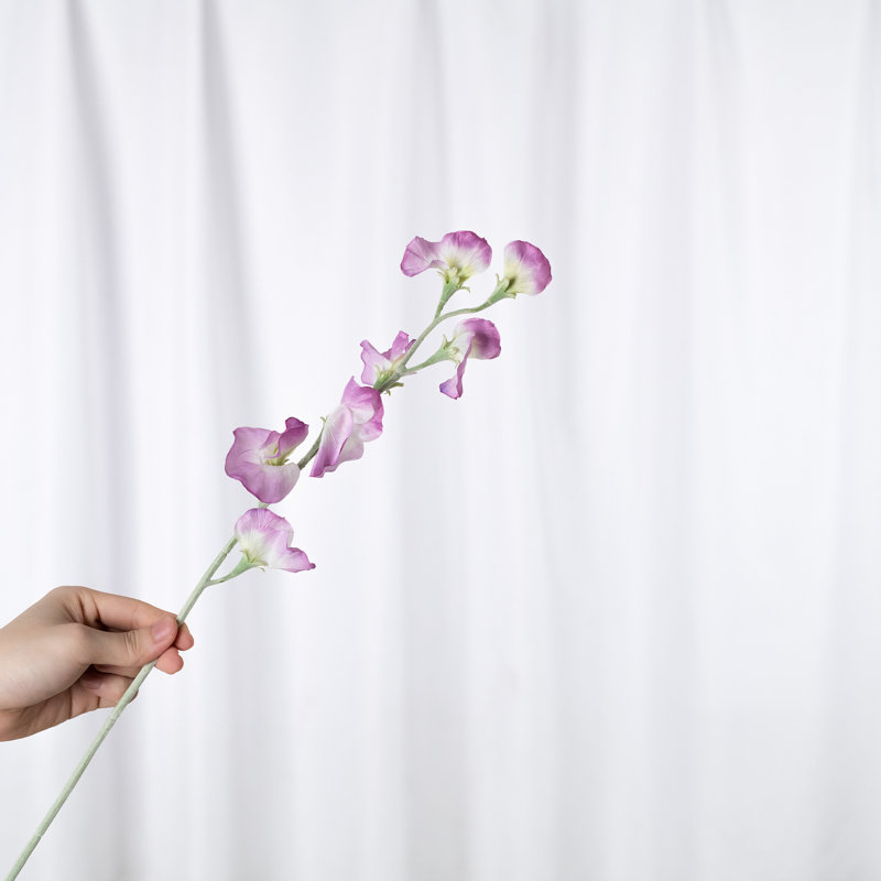 Lathyrus odoratus artificiel Audet mauve clair en soie (paquet de 1 branche), Mauve clair
