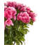 Artificial Plant NOVELLA 36 cm-1239492178