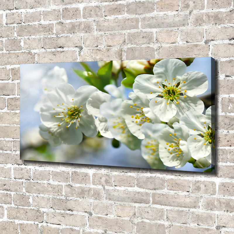 Cherry Blossom - Wrapped Canvas Print