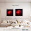 Pomme rouge brillante Yarlin-109358140