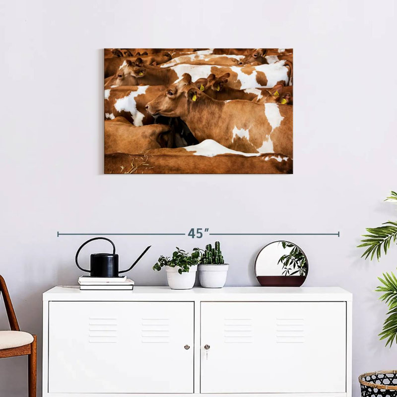 Brampt Guernsey Cows, 20" H x 30" W