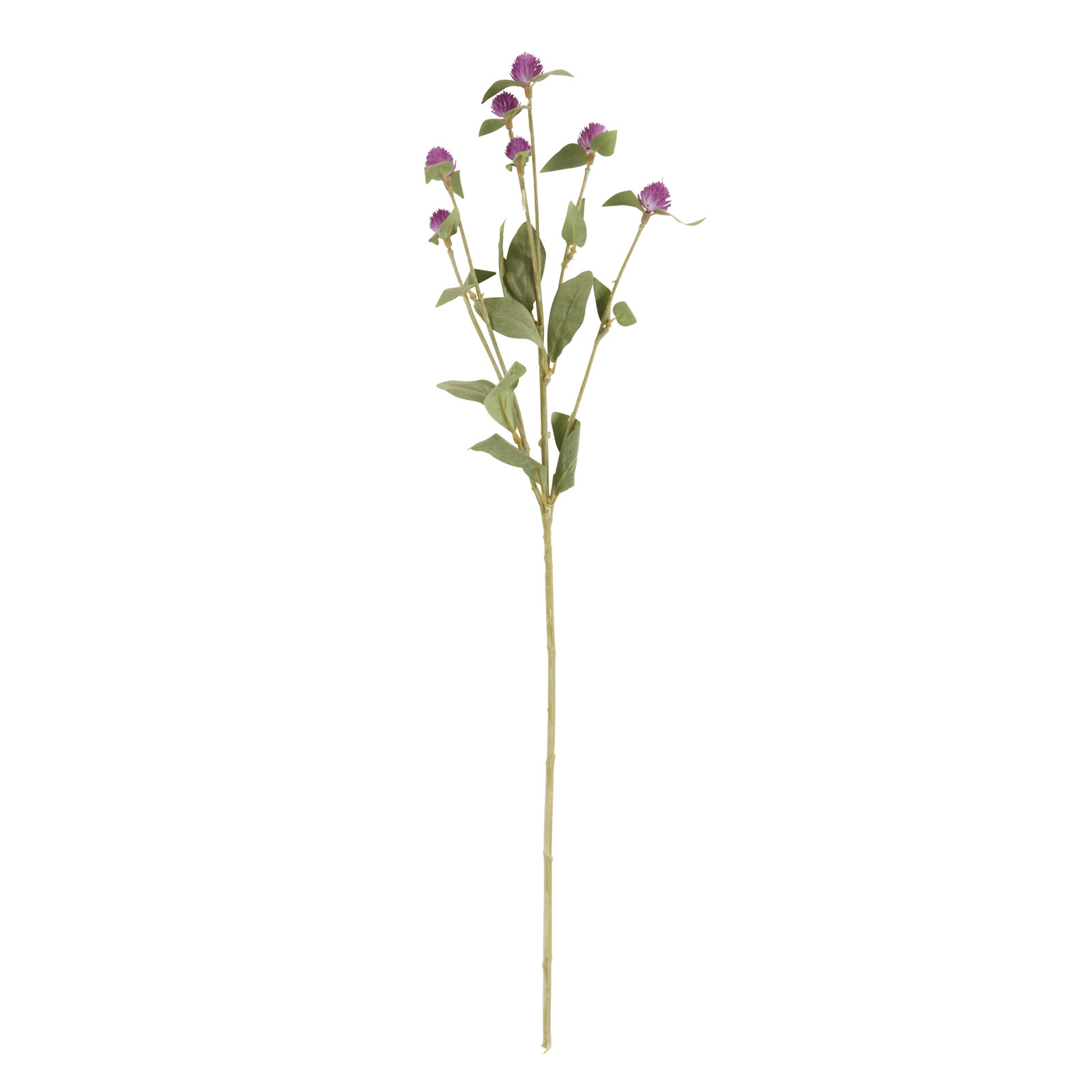 Rimma Gomphrena Stems, Red