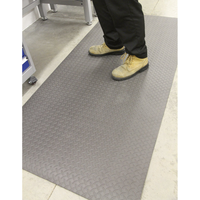 Zoraida Non-Slip Indoor Doormat