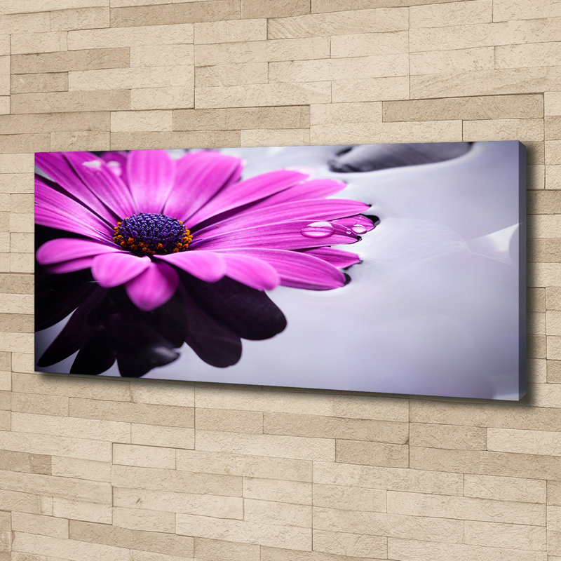 Gerbera - No Frame Print on Canvas