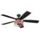 Carnegie 52" Ceiling Fan with LED Lights and Remote Included