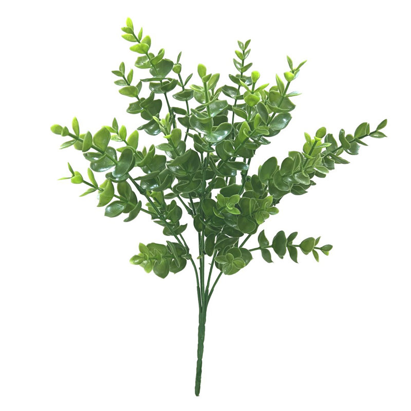 Feuilles d'eucalyptus, tiges, plantes et arbres