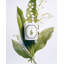Lily Of The Valley Candle