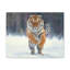 Wall Art on Canvas