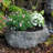 Domoni Concrete Planter Box