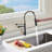 Topcraft Single Handle Pull Down Spring Kitchen Faucet