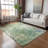 Machine Washable Indoor/Outdoor Lafferty ACN2223 Floral Rug-834370118