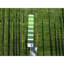 Tapis surdimensionné vert en laine noué à la main 12 pi 2 po x 15 pi D68E92DD18D64836B232B64D7410B6D2
