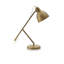 Sherrard Adjustable Metal Desk Lamp
