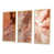 Encadré naturel sélectionné