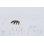 Red Fox 3 - reproduction sur toile tendue