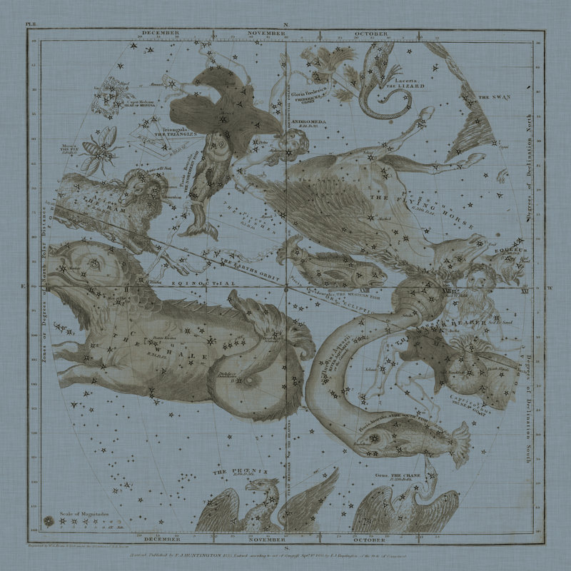 Zodiac I - Wrapped Canvas Print, 76cm H x 76cm W x 3.8cm D