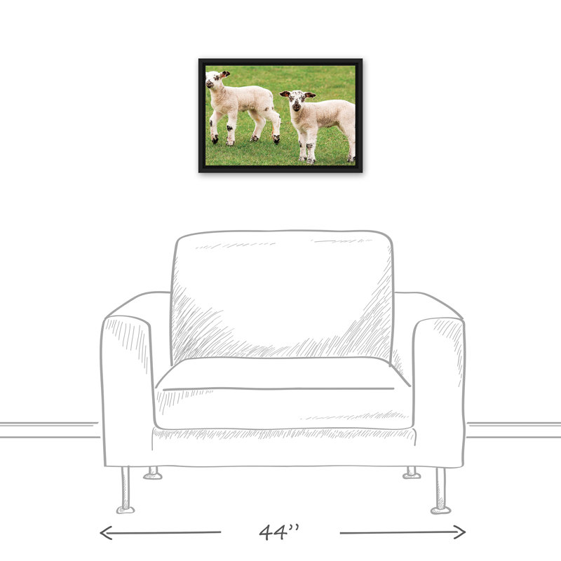 Petits agneaux encadrés sur toile, H 13,75 po x l 19,75 po x P 1,75 po