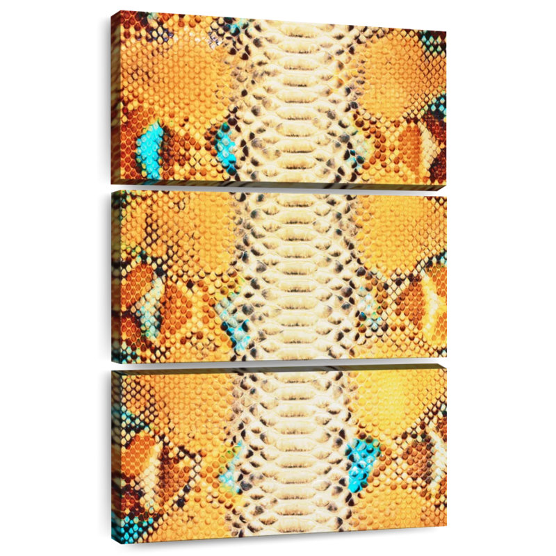 Peau de serpent python Brampt, H 32 po x l 20 po