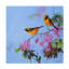 Art mural sur toile tendue - Floy Zittin "Hooded Oriole pair", art mural pour salon, chambre à coucher ou bureau - 24 x 24