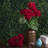 19.5" Artificial Geranium Bush-20583790