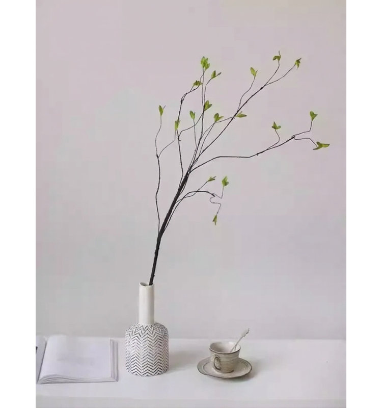 Spring Spring Branch - 37 po, Green, [A] 1 Stem