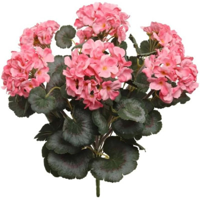 Pink 18"dlx Uv Geranium Bushx7