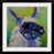 Cadre photo n'est pas disponible