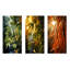 Bamboo Sunset Photography-2013754228-2013754227