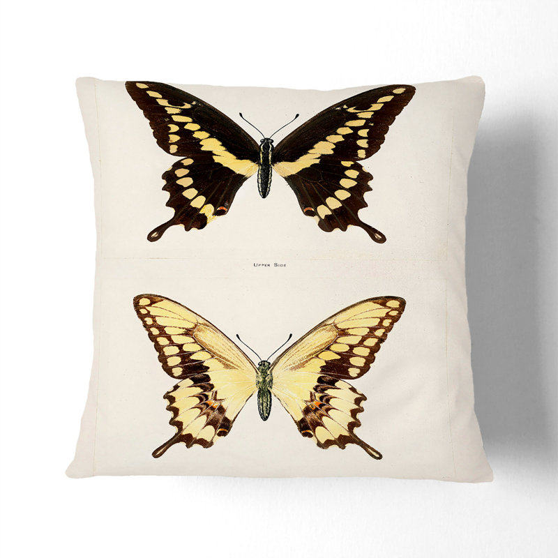 Square Cushion, White, 55cm H x 55cm W x 20cm D