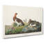 Willow Grouse by John Audubon - Wrapped Canvas-55301819