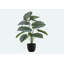 Plante artificielle, 24 po de haut, Calathea, intérieur, faux, faux, table, verdure, pot, touche réelle, décoratif, feuilles vertes, pot-1035965631