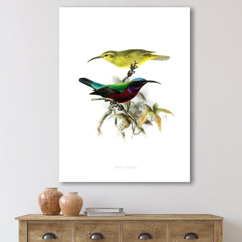 «Vintage Australian Birds XV», impression sur toile, Toile tendue, H 40 po x l 30 po x 1,5 po