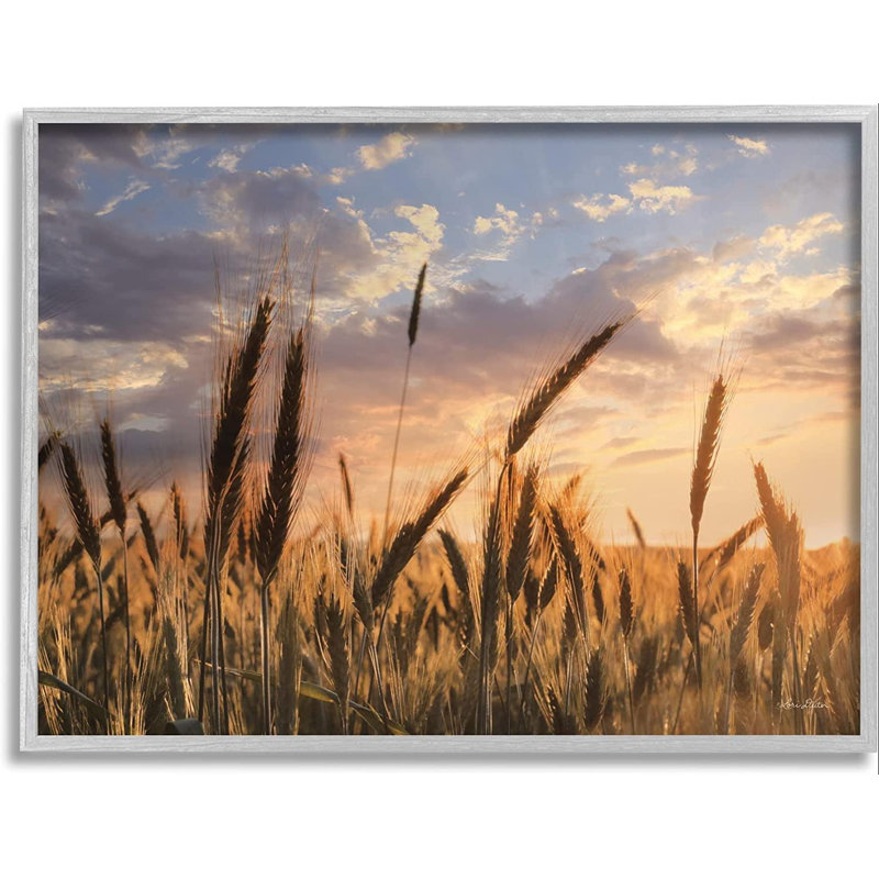 Photographie d'un cadre photo sur un panneau de fibres à densité moyenne, Estampe numérique Farmhouse