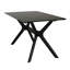 Solid Wood Dining Set