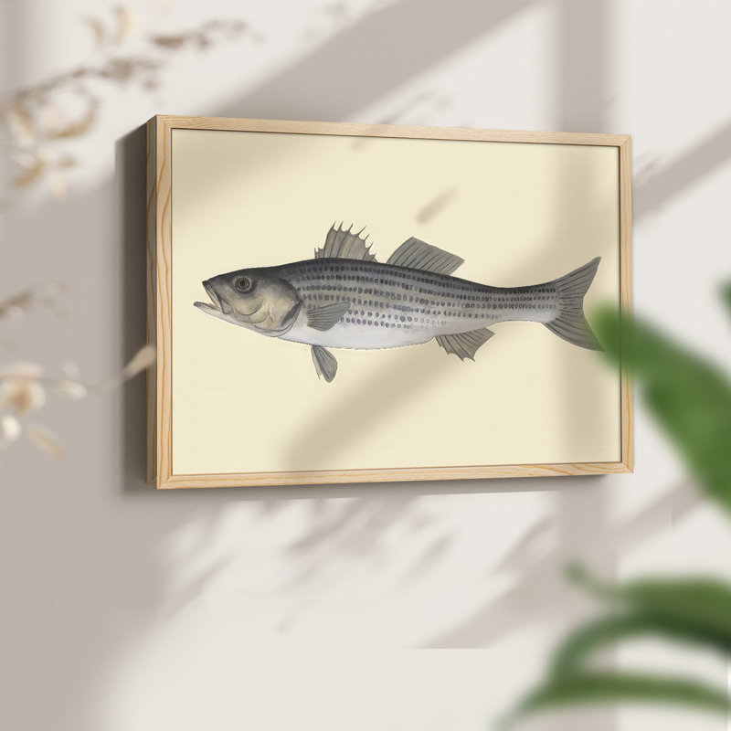 Saltwater Species I -Framed Print - Restickable, H 8 po x l 10 po, Naturel