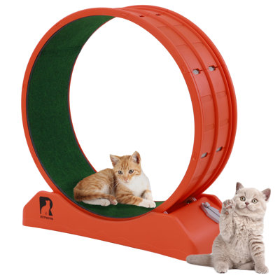 Plastic Cat Exercise Wheel With Interactive Toy For Indoor Cats With Replaceable Runway And Safety Lock
