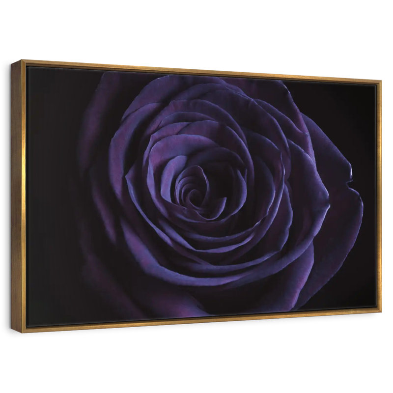 Rose mauve en fleurs, Cadre flottant doré, 31 po x 21 po