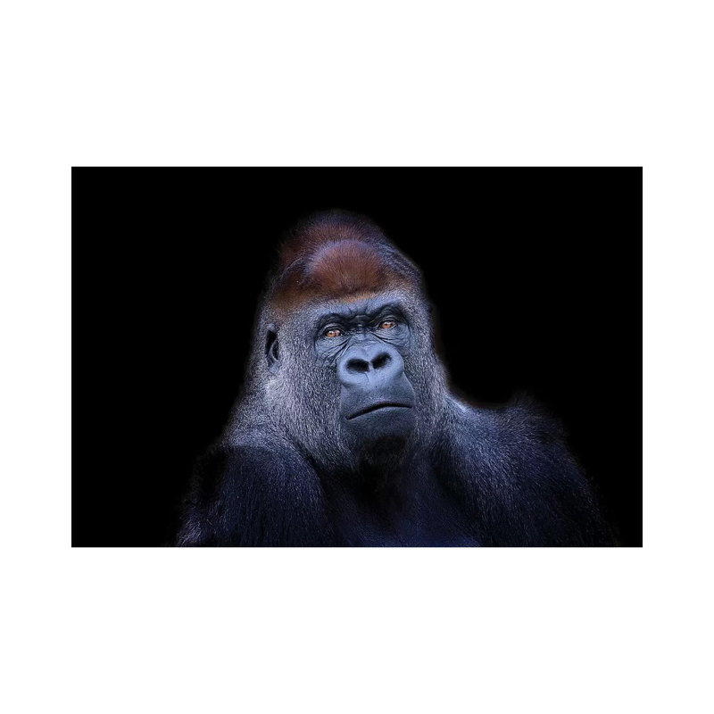 Western Lowland Gorilla 1 Piece Wrapped Canvas Wall Art, 20.32 cm H x 30.48 cm W