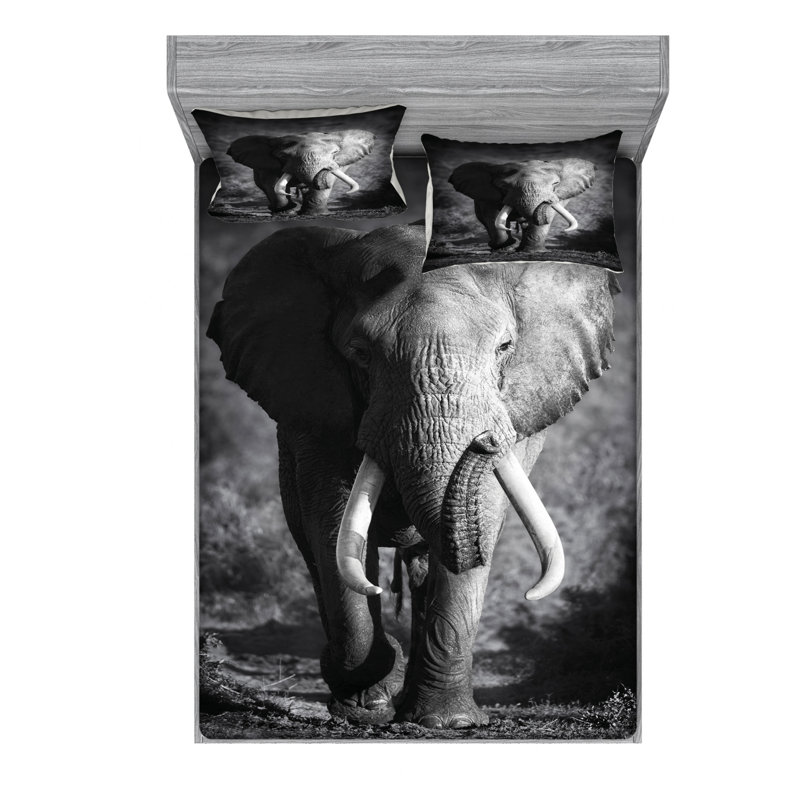 Microfiber Sheet Set, Full Sheet + Fitted Sheet + 2 Pillowcases