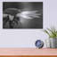 «Coneflower» par Lori Deiter-1088874812